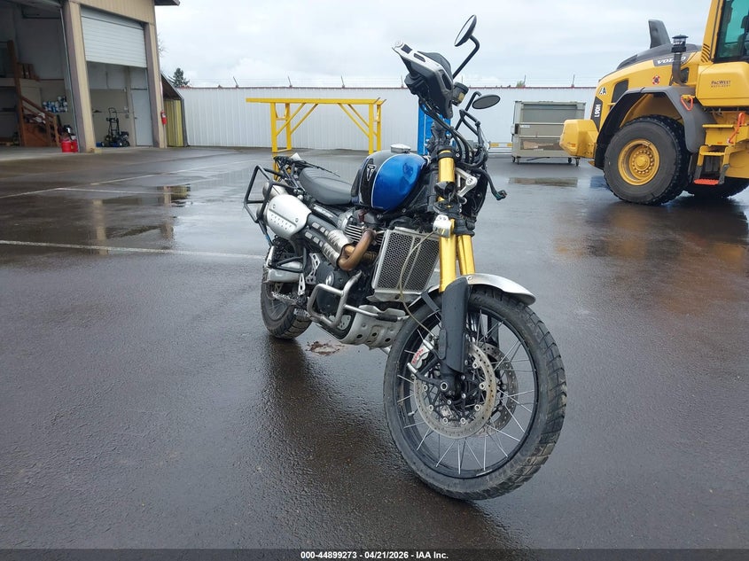 2019 Triumph Scrambler
